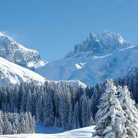 Spannort Family With Common Kitchen And Self Check-in Hotel 3*