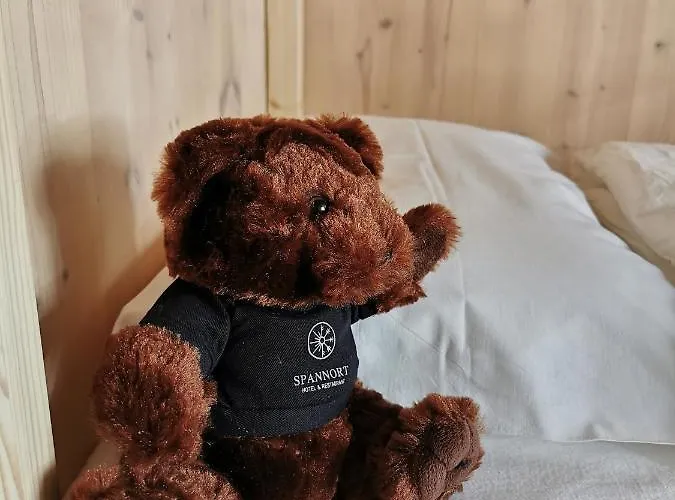 Hotel Spannort Family With Common Kitchen And Self Check-in 3*