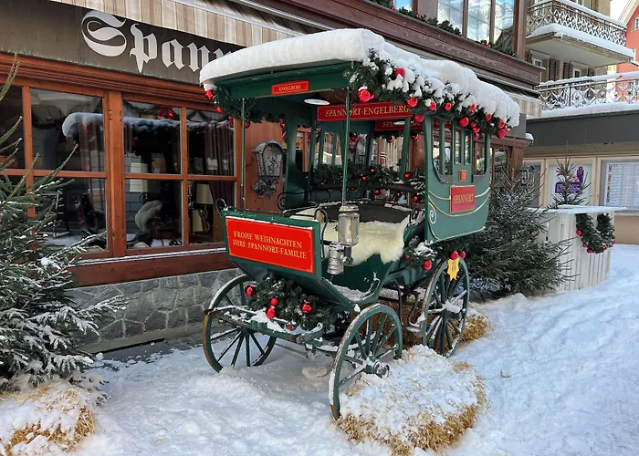 Hotel Spannort Family With Common Kitchen And Self Check-in 3*