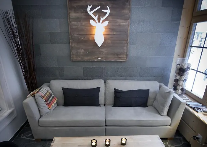 Spannort Family With Common Kitchen And Self Check-in Engelberg