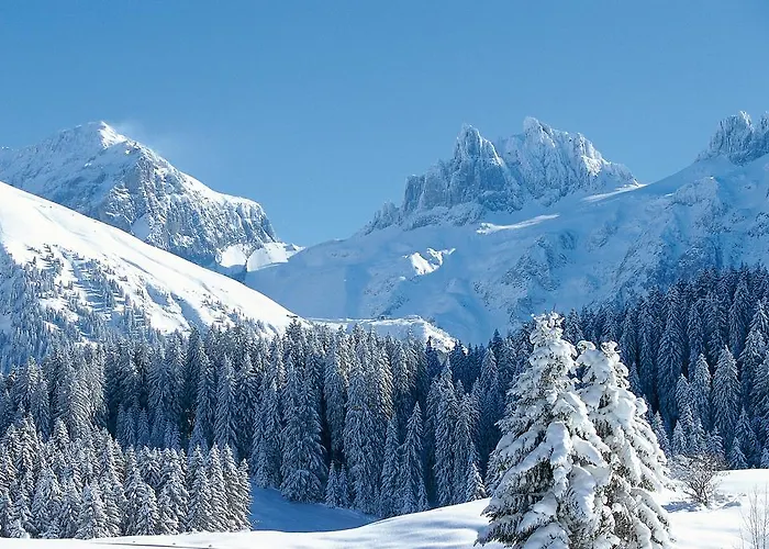 Spannort Family With Common Kitchen And Self Check-in Hotel 3*