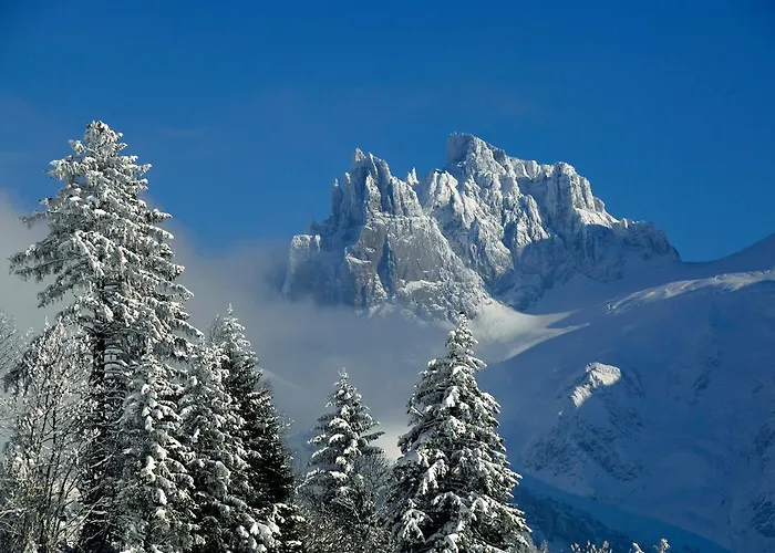 Spannort Family With Common Kitchen And Self Check-in Engelberg
