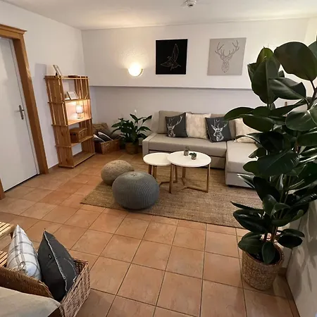 Spannort Family With Common Kitchen And Self Check-in Engelberg