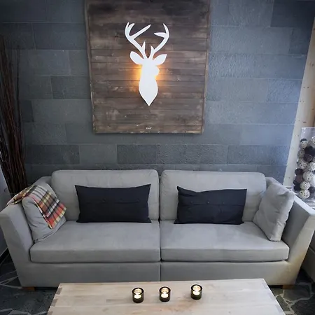 Spannort Family With Common Kitchen And Self Check-in Engelberg