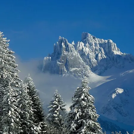 Spannort Family With Common Kitchen And Self Check-in Engelberg